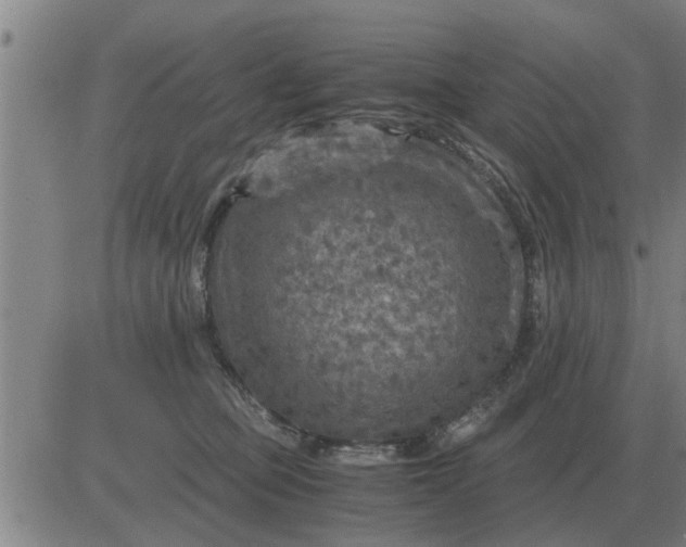 X0000084030373200703022129