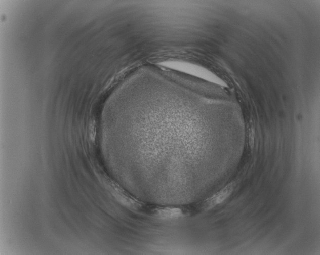 X0000084030374200703022129