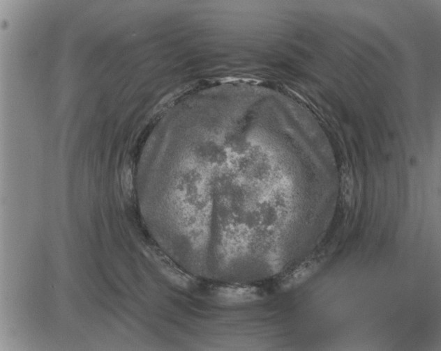 X0000084030375200703022129