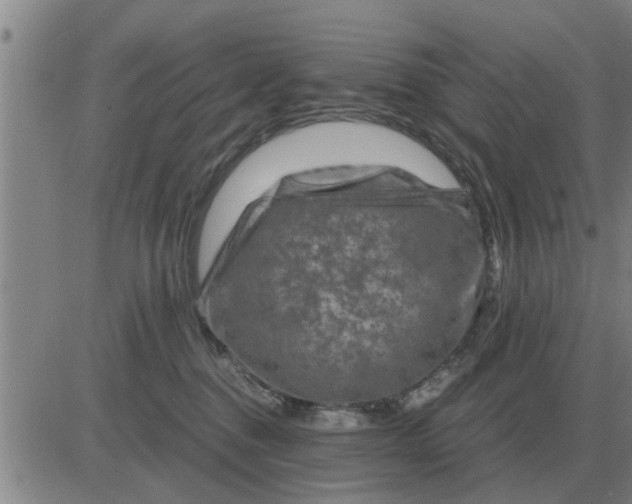 X0000084030376200703022129