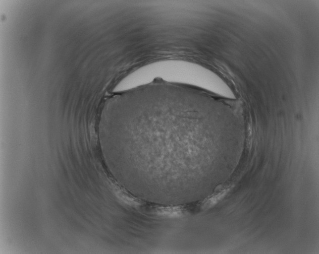 X0000084030377200703022129