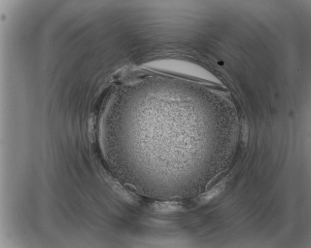 X0000084030378200703022129