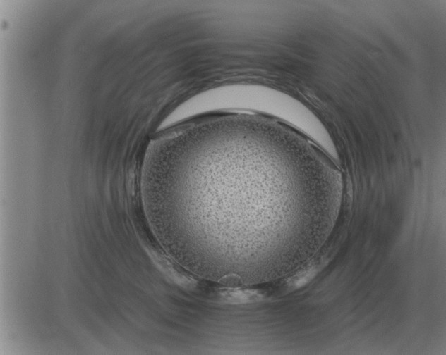 X0000084030379200703022129