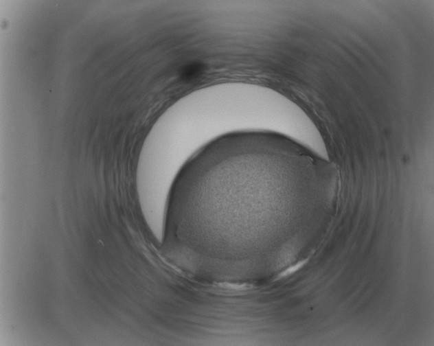 X0000084030380200703022129