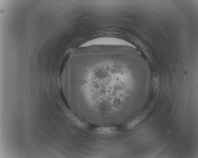 X0000084030381200703022129