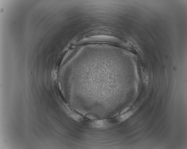 X0000084030382200703022129