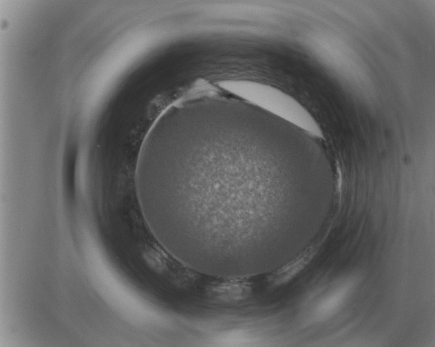 X0000084030383200703022129