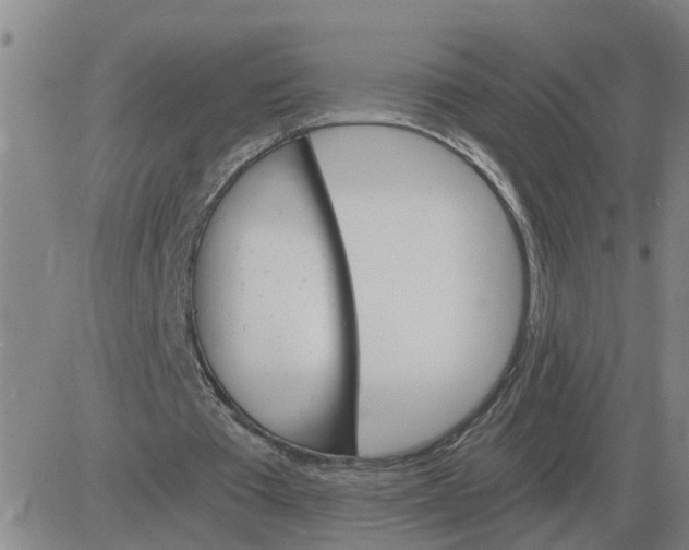 X0000084030385200703022128