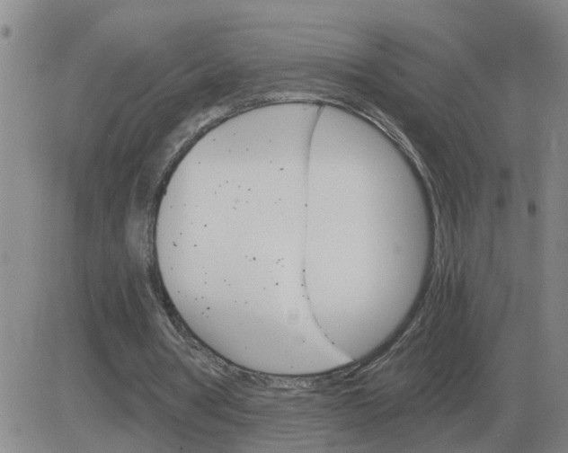 X0000084030386200703022128