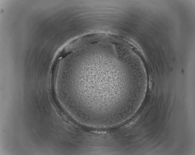 X0000084030388200703022128