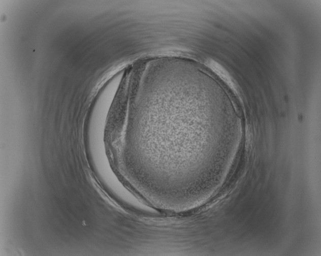 X0000084030389200703022128