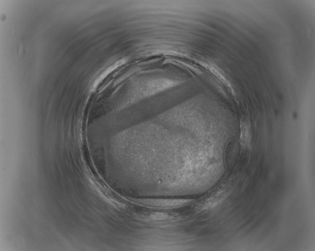 X0000084030390200703022128