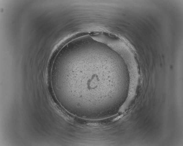 X0000084030391200703022128