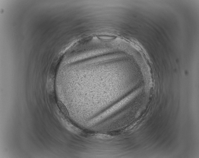 X0000084030393200703022128