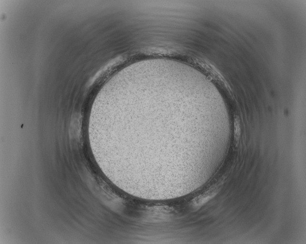 X0000084030396200703022128