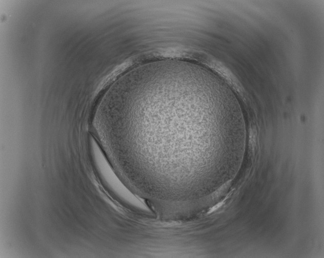 X0000084030397200703022128