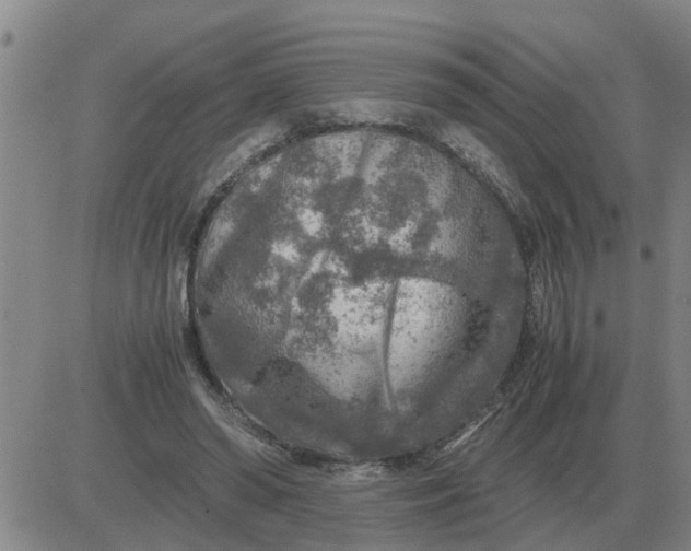 X0000084030398200703022128