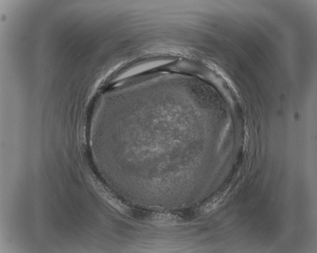 X0000084030399200703022128