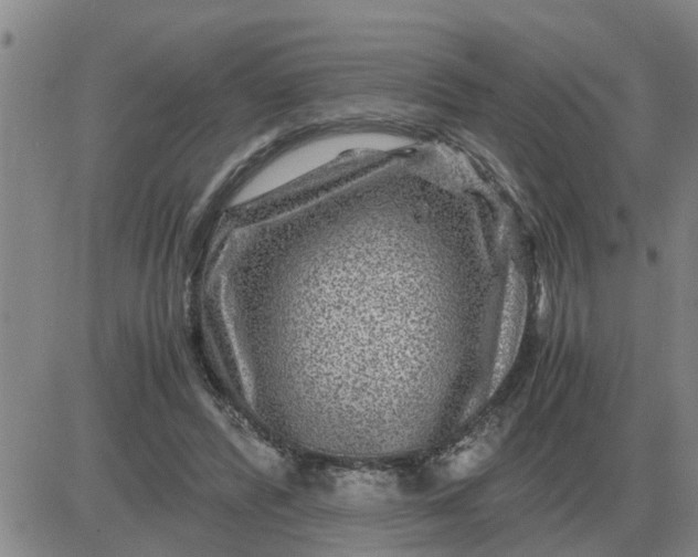 X0000084030400200703022128