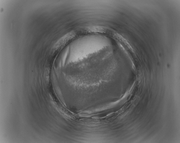 X0000084030402200703022128