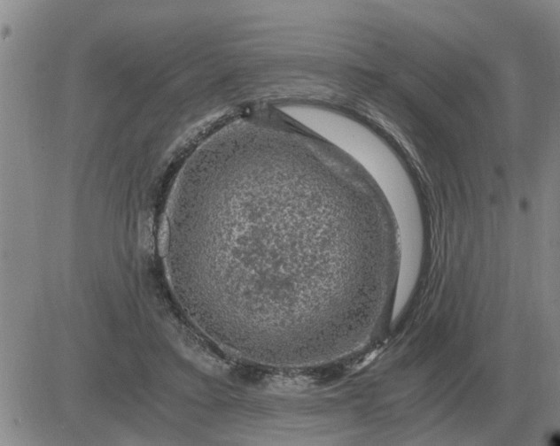 X0000084030403200703022128