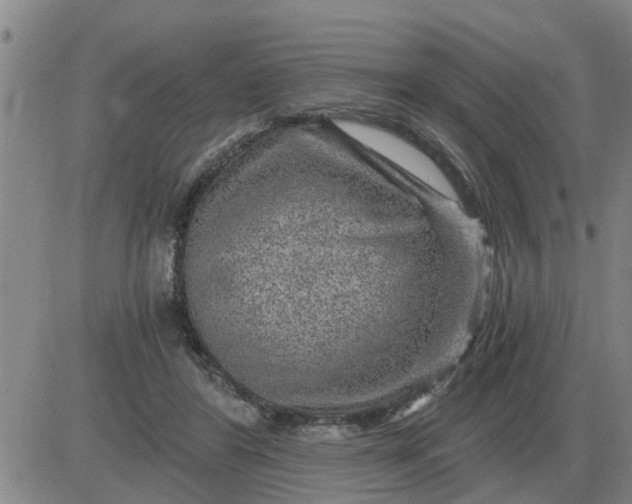 X0000084030404200703022128