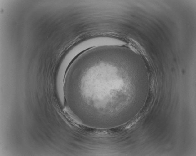 X0000084030405200703022128