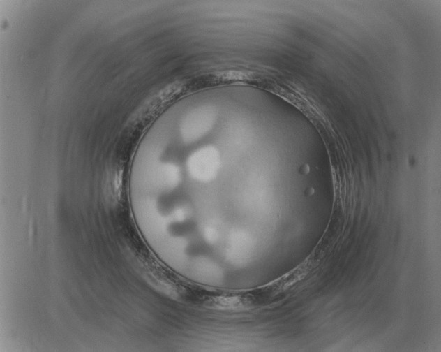 X0000084030406200703022128