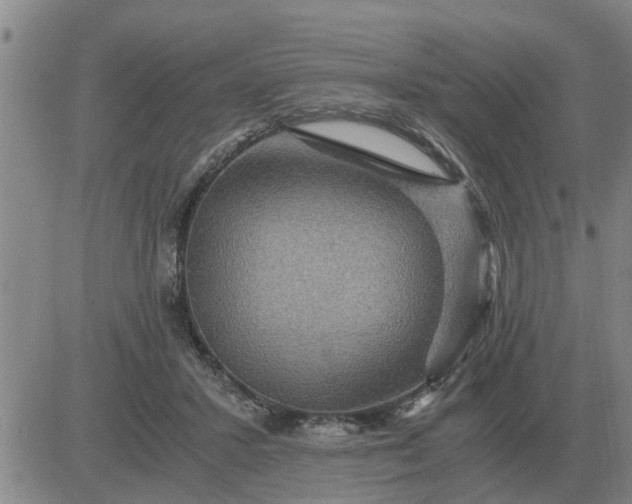 X0000084030407200703022128