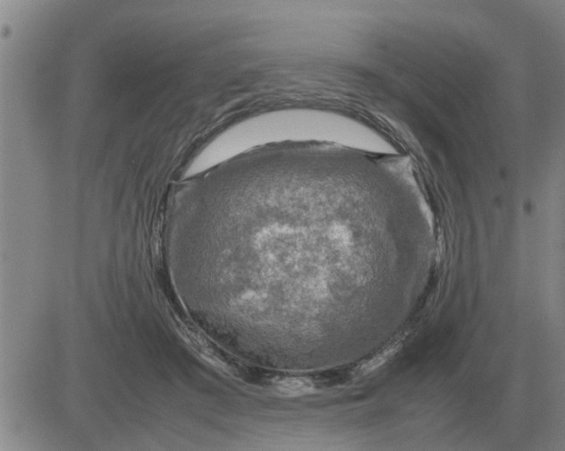 X0000084030409200703022128