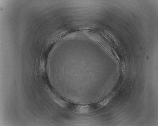 X0000084030410200703022128