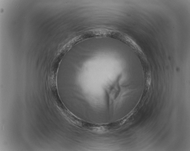 X0000084030411200703022128