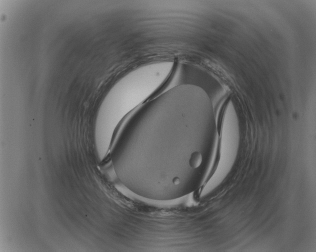 X0000084030412200703022128