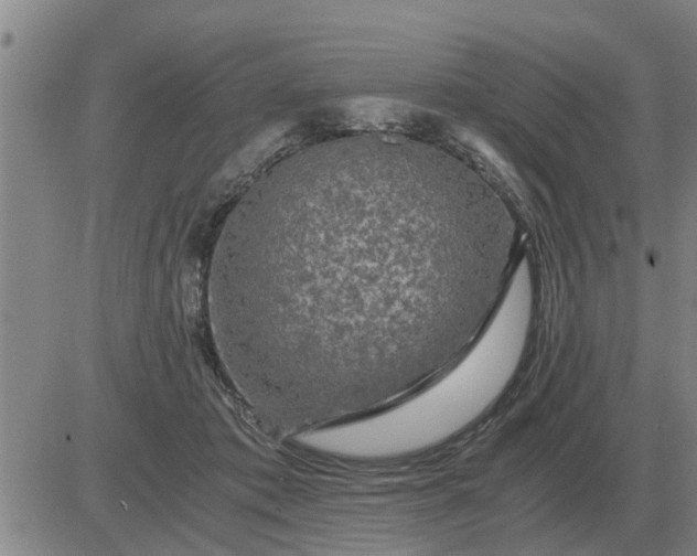 X0000084030413200703022128