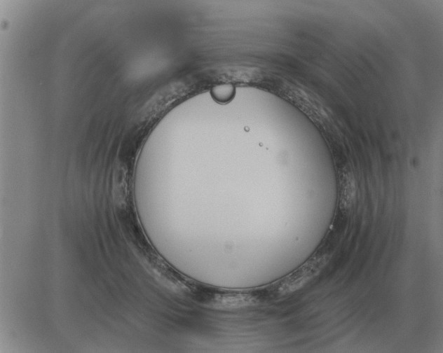 X0000084030414200703022128