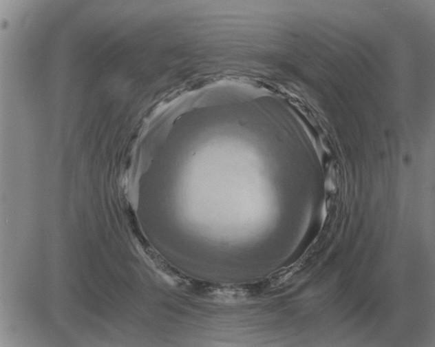 X0000084030415200703022128