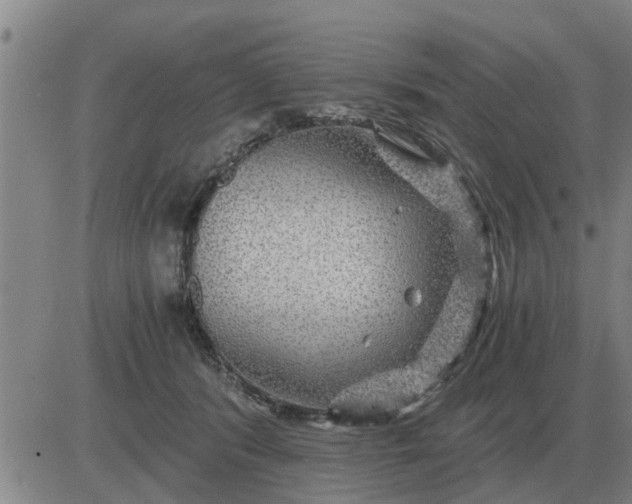 X0000084030416200703022128