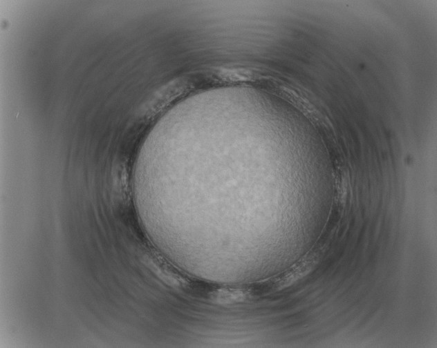 X0000084030418200703022128