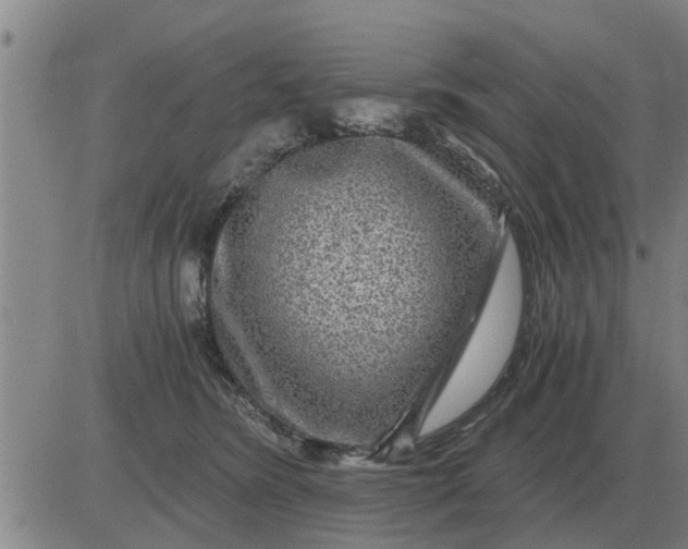 X0000084030420200703022127