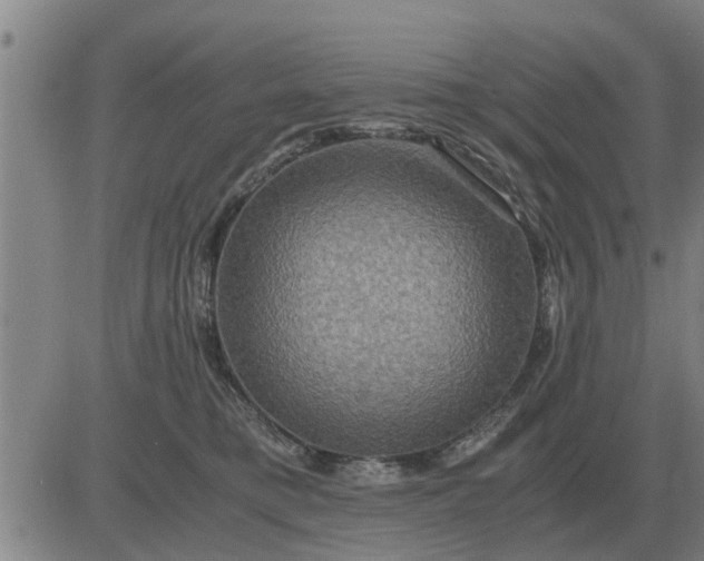 X0000084030421200703022127