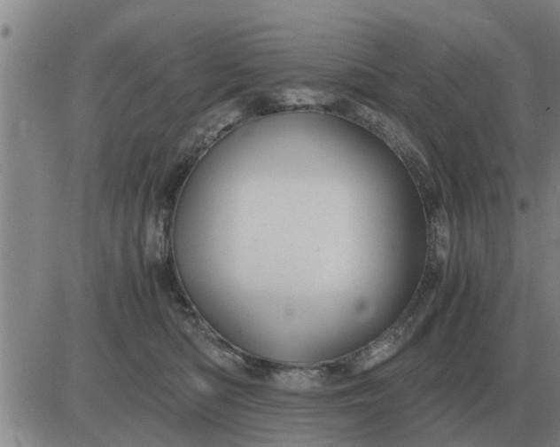 X0000084030422200703022127