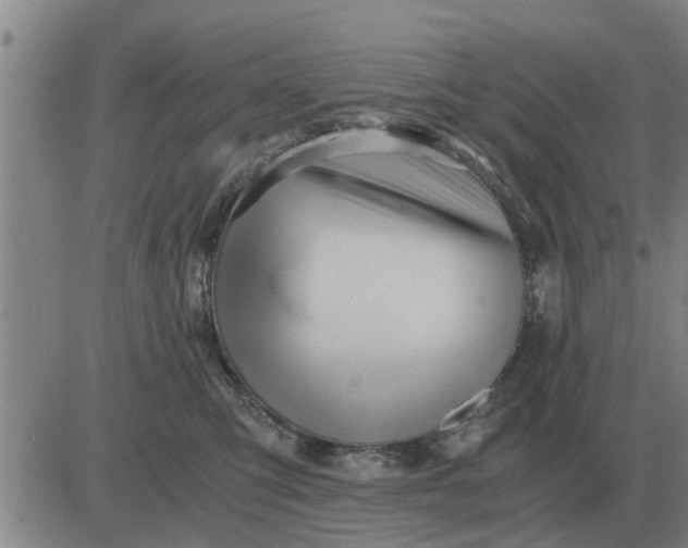 X0000084030423200703022127