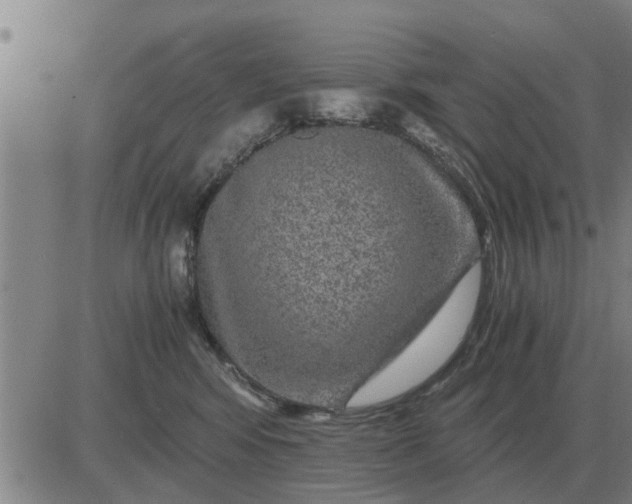 X0000084030424200703022127