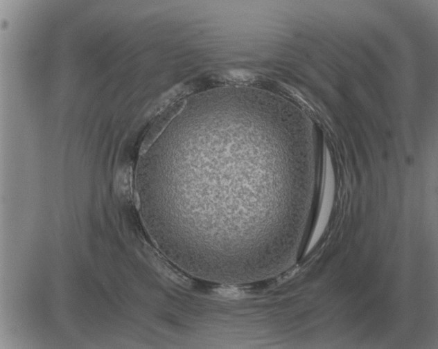 X0000084030425200703022127