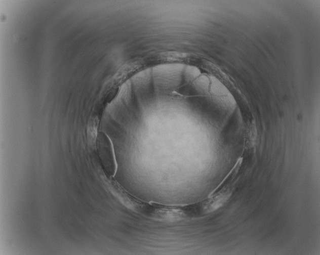 X0000084030427200703022127