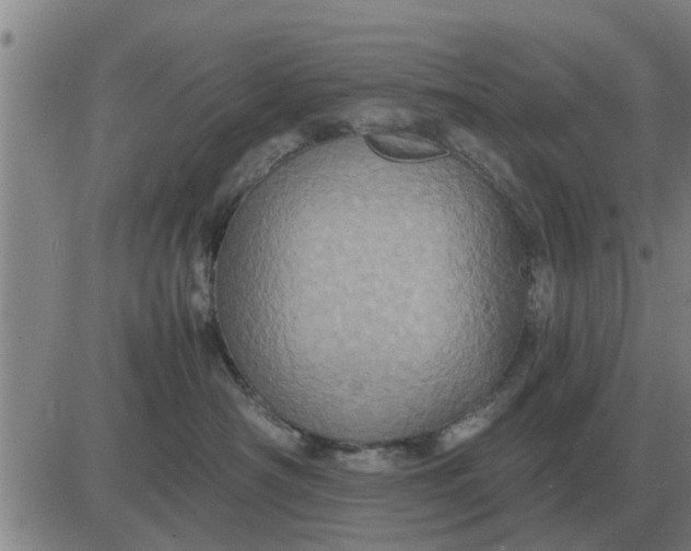 X0000084030430200703022127