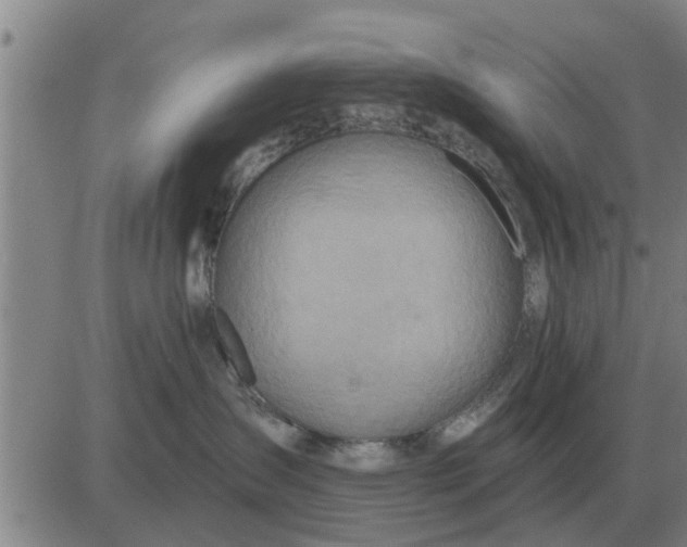 X0000084030431200703022127