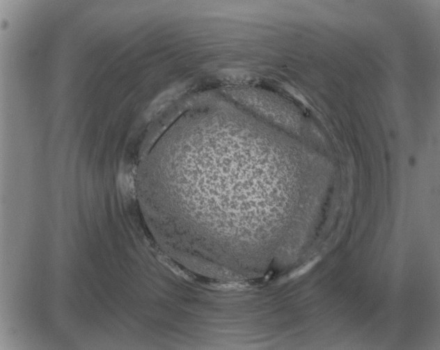 X0000084030432200703022127