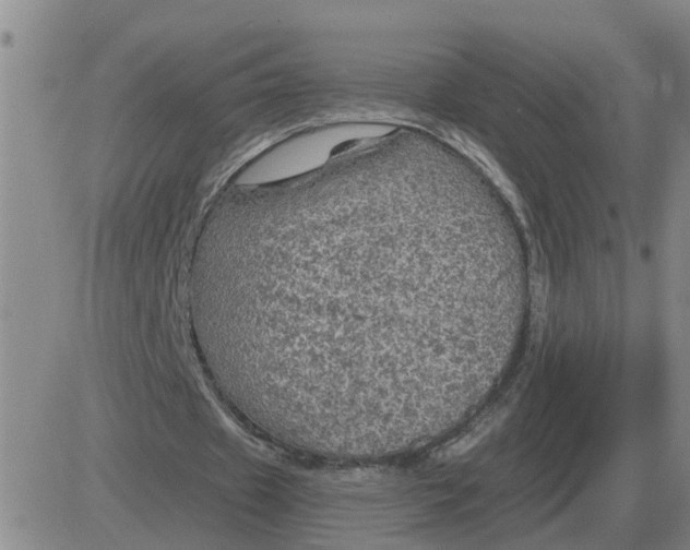 X0000084030433200703022126