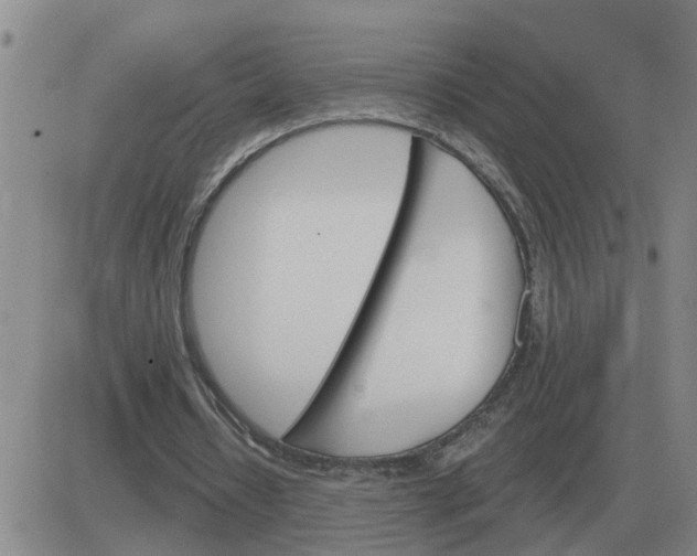 X0000084030434200703022127